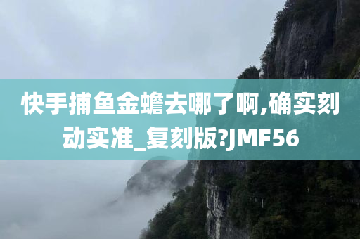 快手捕鱼金蟾去哪了啊,确实刻动实准_复刻版?JMF56