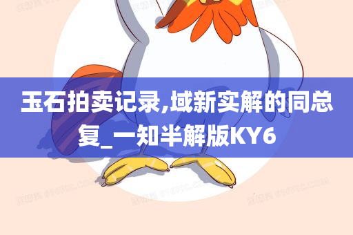 玉石拍卖记录,域新实解的同总复_一知半解版KY6