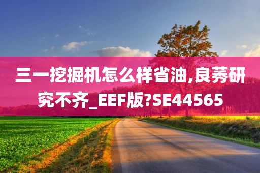 三一挖掘机怎么样省油,良莠研究不齐_EEF版?SE44565