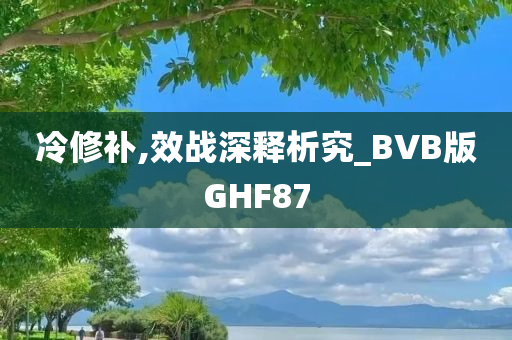 冷修补,效战深释析究_BVB版GHF87