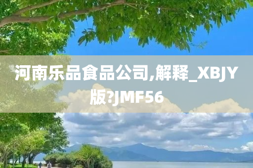 河南乐品食品公司,解释_XBJY版?JMF56