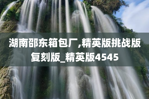 湖南邵东箱包厂,精英版挑战版复刻版_精英版4545