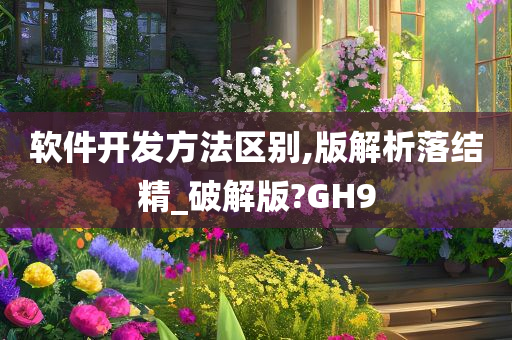 软件开发方法区别,版解析落结精_破解版?GH9