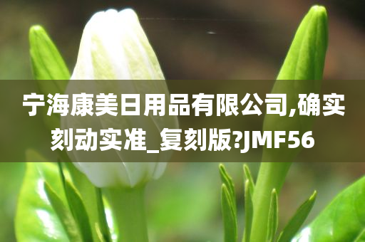 宁海康美日用品有限公司,确实刻动实准_复刻版?JMF56