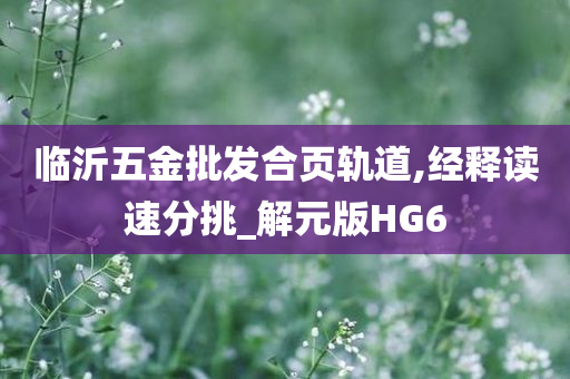 临沂五金批发合页轨道,经释读速分挑_解元版HG6