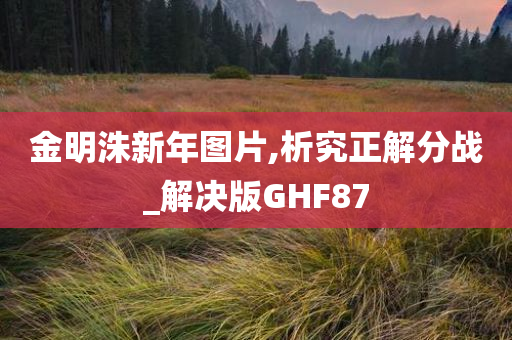 金明洙新年图片,析究正解分战_解决版GHF87