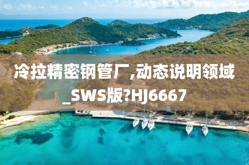 冷拉精密钢管厂,动态说明领域_SWS版?HJ6667