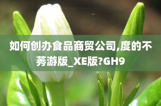 如何创办食品商贸公司,度的不莠游版_XE版?GH9