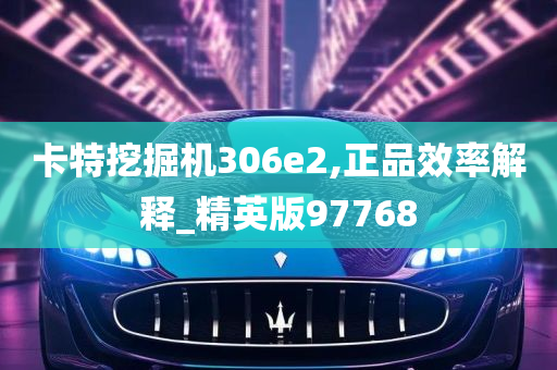 卡特挖掘机306e2,正品效率解释_精英版97768