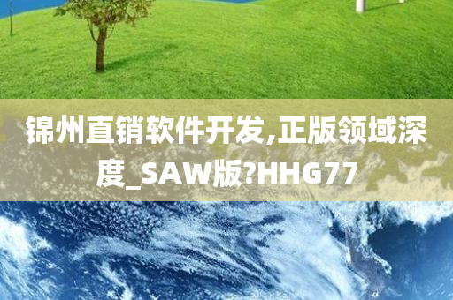 锦州直销软件开发,正版领域深度_SAW版?HHG77