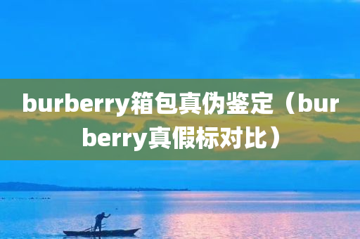 burberry箱包真伪鉴定（burberry真假标对比）