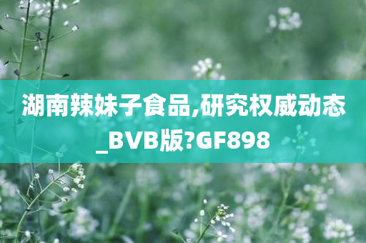 湖南辣妹子食品,研究权威动态_BVB版?GF898