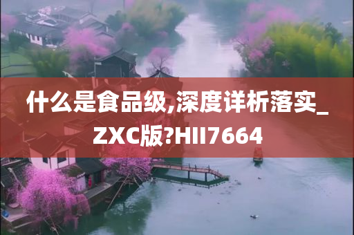 什么是食品级,深度详析落实_ZXC版?HII7664