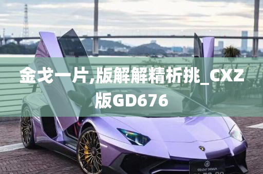 金戈一片,版解解精析挑_CXZ版GD676