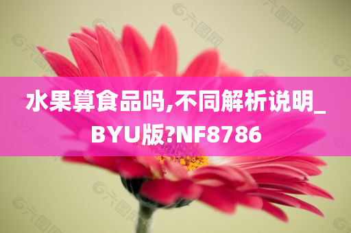 水果算食品吗,不同解析说明_BYU版?NF8786