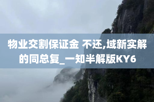 物业交割保证金 不还,域新实解的同总复_一知半解版KY6