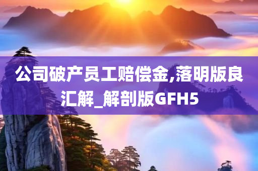 公司破产员工赔偿金,落明版良汇解_解剖版GFH5