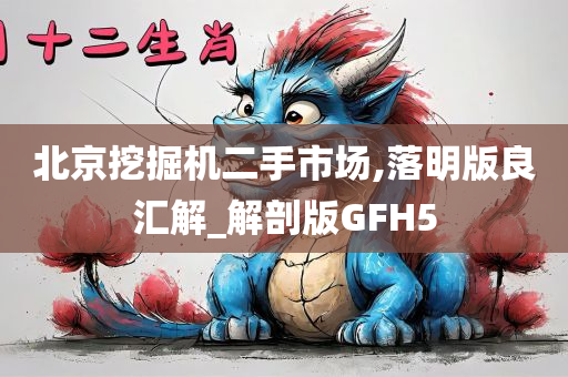 北京挖掘机二手市场,落明版良汇解_解剖版GFH5