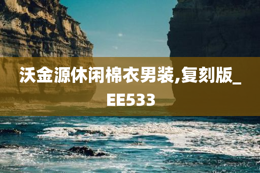 沃金源休闲棉衣男装,复刻版_EE533