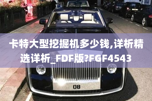 卡特大型挖掘机多少钱,详析精选详析_FDF版?FGF4543