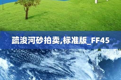 疏浚河砂拍卖,标准版_FF45