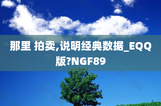 那里 拍卖,说明经典数据_EQQ版?NGF89