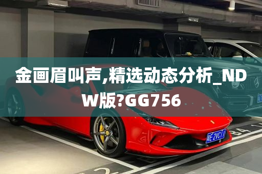 金画眉叫声,精选动态分析_NDW版?GG756