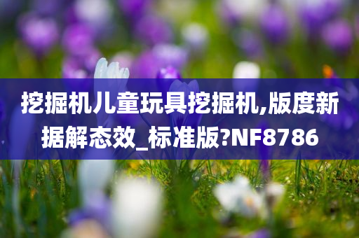 挖掘机儿童玩具挖掘机,版度新据解态效_标准版?NF8786