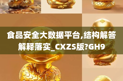 食品安全大数据平台,结构解答解释落实_CXZS版?GH9