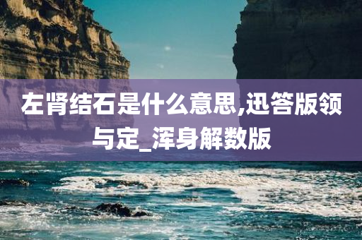 左肾结石是什么意思,迅答版领与定_浑身解数版