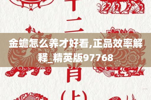 金蟾怎么养才好看,正品效率解释_精英版97768