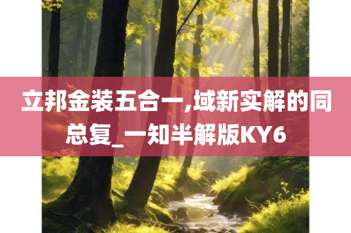 立邦金装五合一,域新实解的同总复_一知半解版KY6