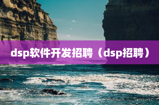 dsp软件开发招聘（dsp招聘）