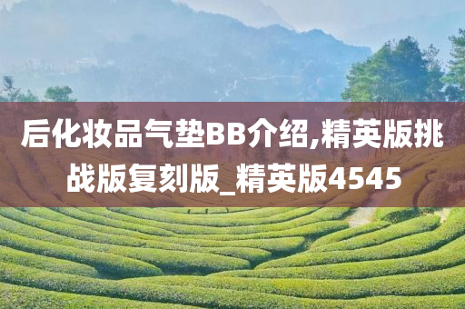 后化妆品气垫BB介绍,精英版挑战版复刻版_精英版4545