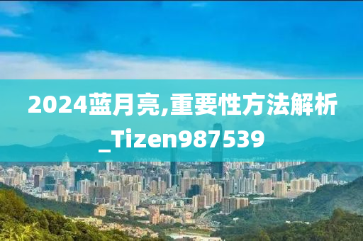 2024蓝月亮,重要性方法解析_Tizen987539