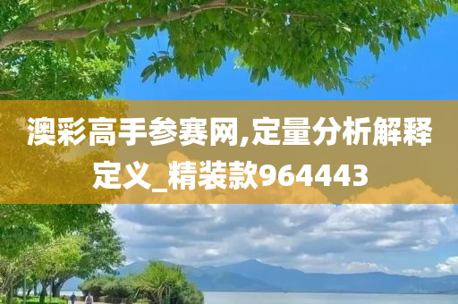 澳彩高手参赛网,定量分析解释定义_精装款964443