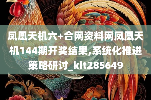 凤凰天机六+合网资料网凤凰天机144期开奖结果,系统化推进策略研讨_kit285649