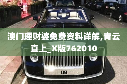 澳门理财婆免费资料详解,青云直上_X版762010