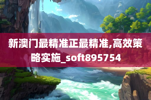 新澳门最精准正最精准,高效策略实施_soft895754