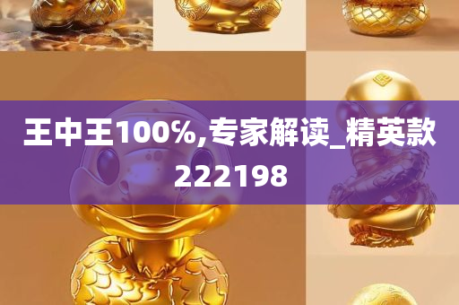 王中王100℅,专家解读_精英款222198