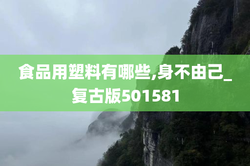 食品用塑料有哪些,身不由己_复古版501581