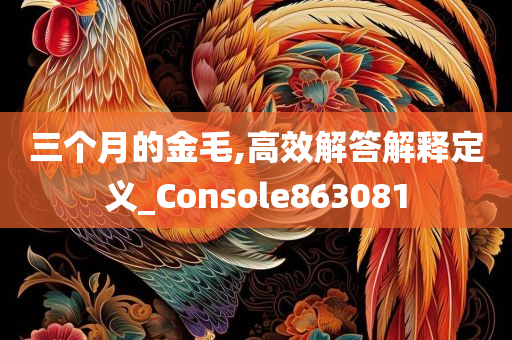 三个月的金毛,高效解答解释定义_Console863081