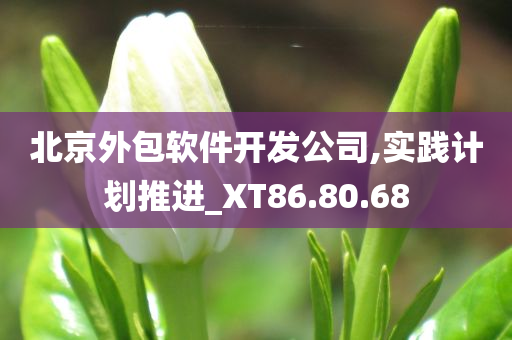 北京外包软件开发公司,实践计划推进_XT86.80.68