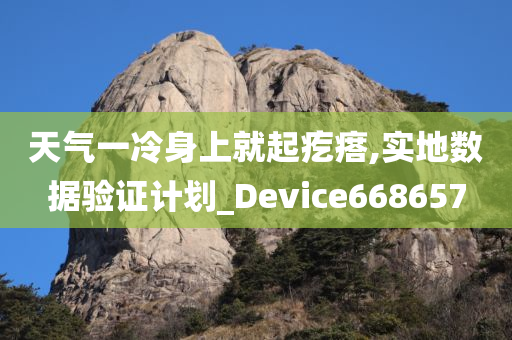 天气一冷身上就起疙瘩,实地数据验证计划_Device668657