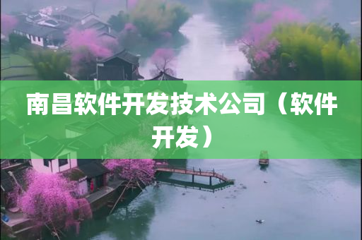 南昌软件开发技术公司（软件开发）