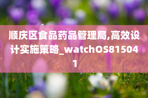 顺庆区食品药品管理局,高效设计实施策略_watchOS815041