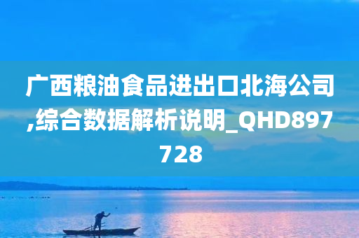 广西粮油食品进出口北海公司,综合数据解析说明_QHD897728