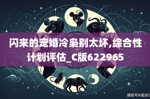 闪来的宠婚冷枭别太坏,综合性计划评估_C版622965