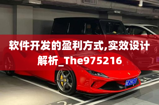 软件开发的盈利方式,实效设计解析_The975216