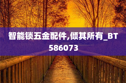 智能锁五金配件,倾其所有_BT586073